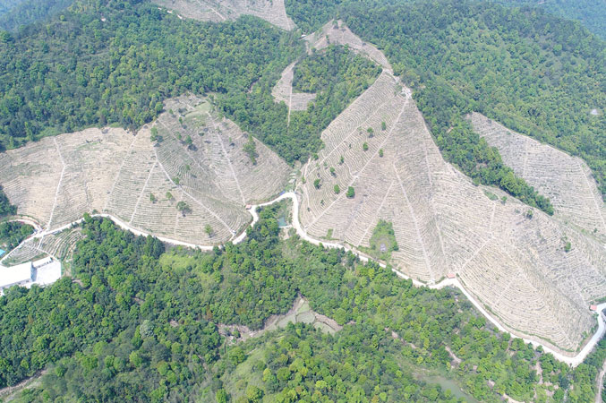 基地風采